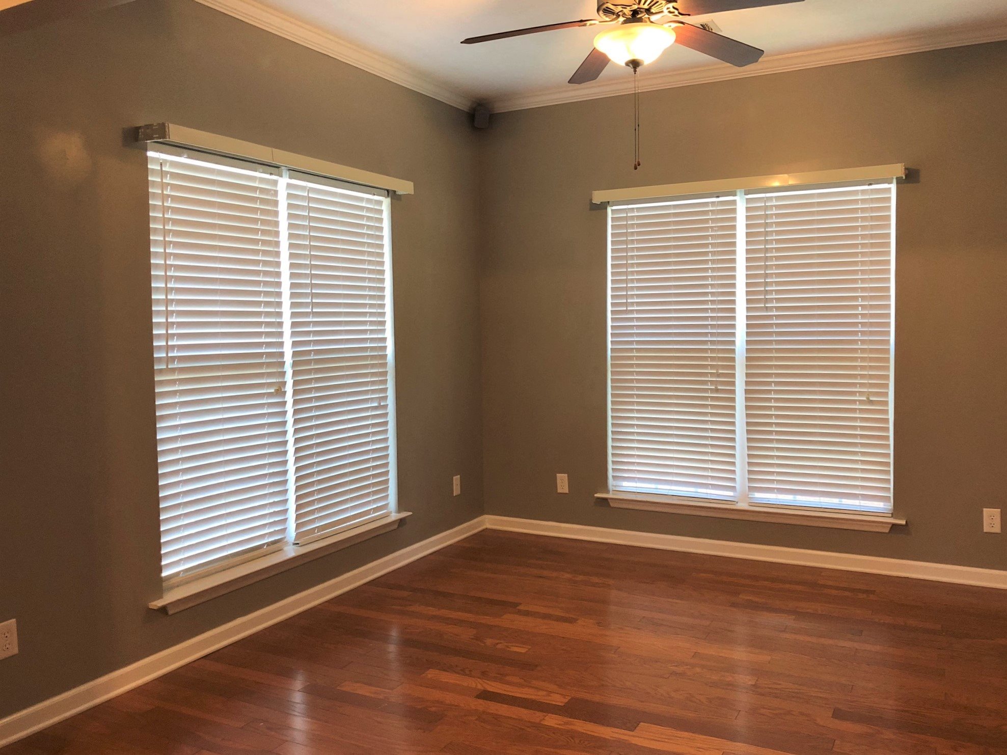 Gallery Photo 4